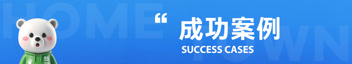 成功案例